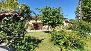 A garden with a pergola, a small building with a tiled roof, and a well-maintained lawn.
