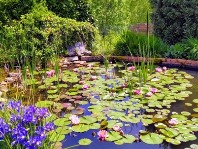 Les Gites de Campardon - Les Orchidées