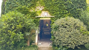 A building with a stone facade partially covered by lush green ivy. - La Magioca (Negrar)