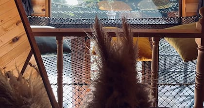 Felamur DaÄ Evi