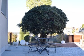 Une terrasse avec une table et des chaises, un petit chien et un grand arbre.