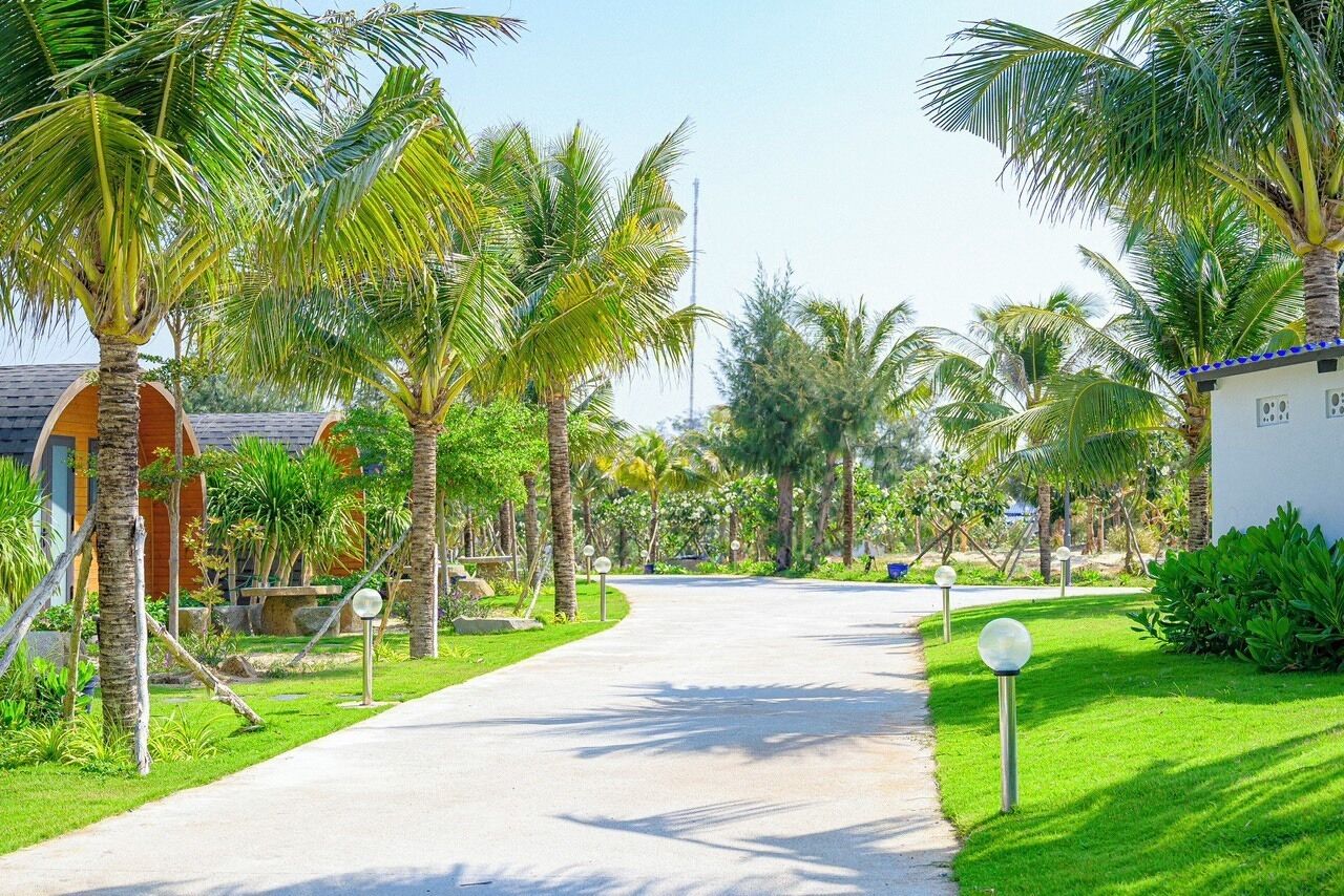 A pathway lined with palm trees and a building with a curved roof.