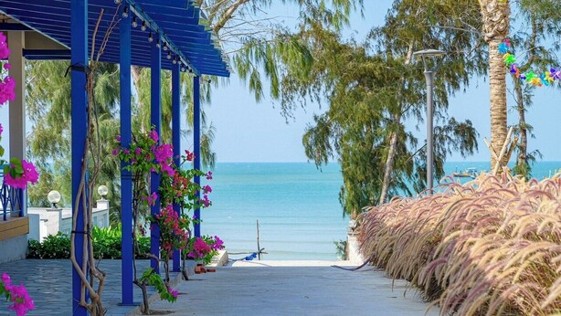 A pathway leading to a beach with a blue pergola, pink flowers, and tall grasses.