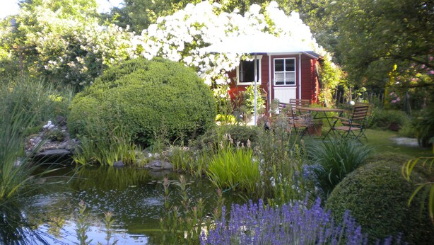 Een rustige tuin met een vijver, weelderige begroeiing en een klein rood huis met een witte deur.