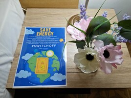 Down comforters, individually decorated, individually furnished, desk