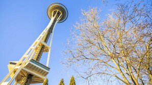 A tall tower with a circular observation deck, surrounded by leafless trees against a clear sky. - Elektra Muse Studio w/ Views - Walker’s Paradise (Seattle)