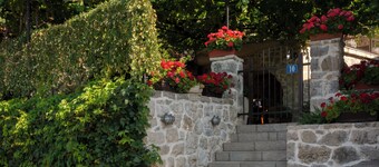 120 year old stone villa with overlooking Lake Skadar,15minutes from the capital