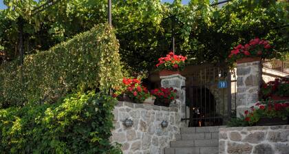 120 year old stone villa with overlooking Lake Skadar,15minutes from the capital