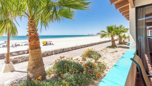 Vista de playa con palmeras, un sendero de arena y un edificio con toldo azul.