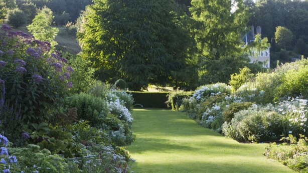 A well-maintained garden with a central lawn path, surrounded by various flowering plants and trees.