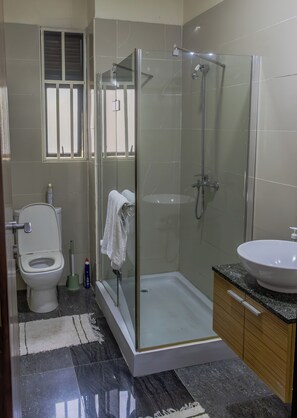 Hair dryer, bidet, towels, soap - The Greenleaf Apartment, Lubowa. (Kampala)