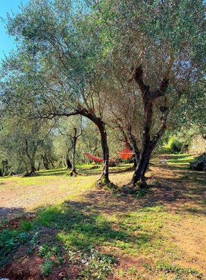 المنطقة المحيطة بالمنشأة