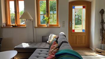 TV, fireplace, books