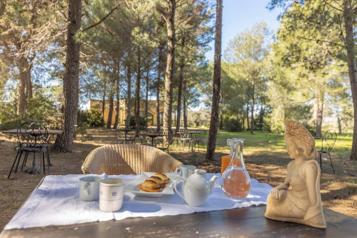 An outdoor dining setup with a table set for breakfast, including pastries, a teapot, and a jug of orange juice, surrounded by trees.
