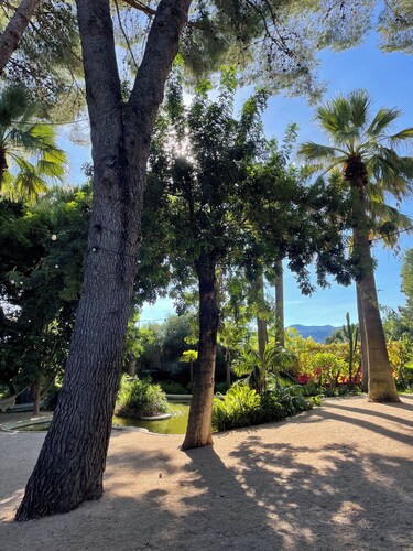EL BOTANICO DE SAGRA - CASA NARANJA