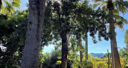 EL BOTANICO DE SAGRA - CASA NARANJA