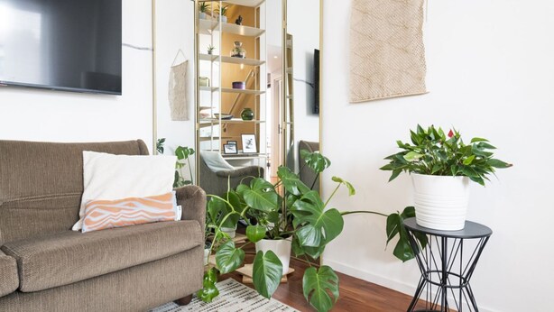 A living room with a brown sofa, a white cushion, a potted plant, a small table, and a bookshelf. - Easylife - Cozy two-level unit in Isola (Milano)