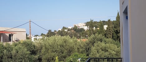Comfort Double Room, Balcony, Garden View | Terrace/patio