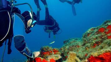 Dos buzos explorando un arrecife submarino vibrante con coloridas formaciones de coral.