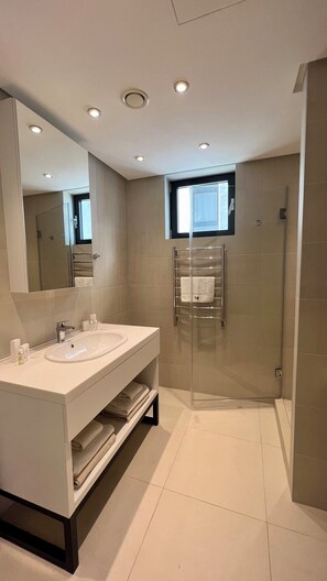 Shower, hair dryer, bidet, towels