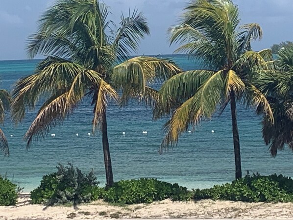 On the beach - Saunders Beach Villa . All the amenities, includingpool, outdoor cabana, grills. (Nassau)