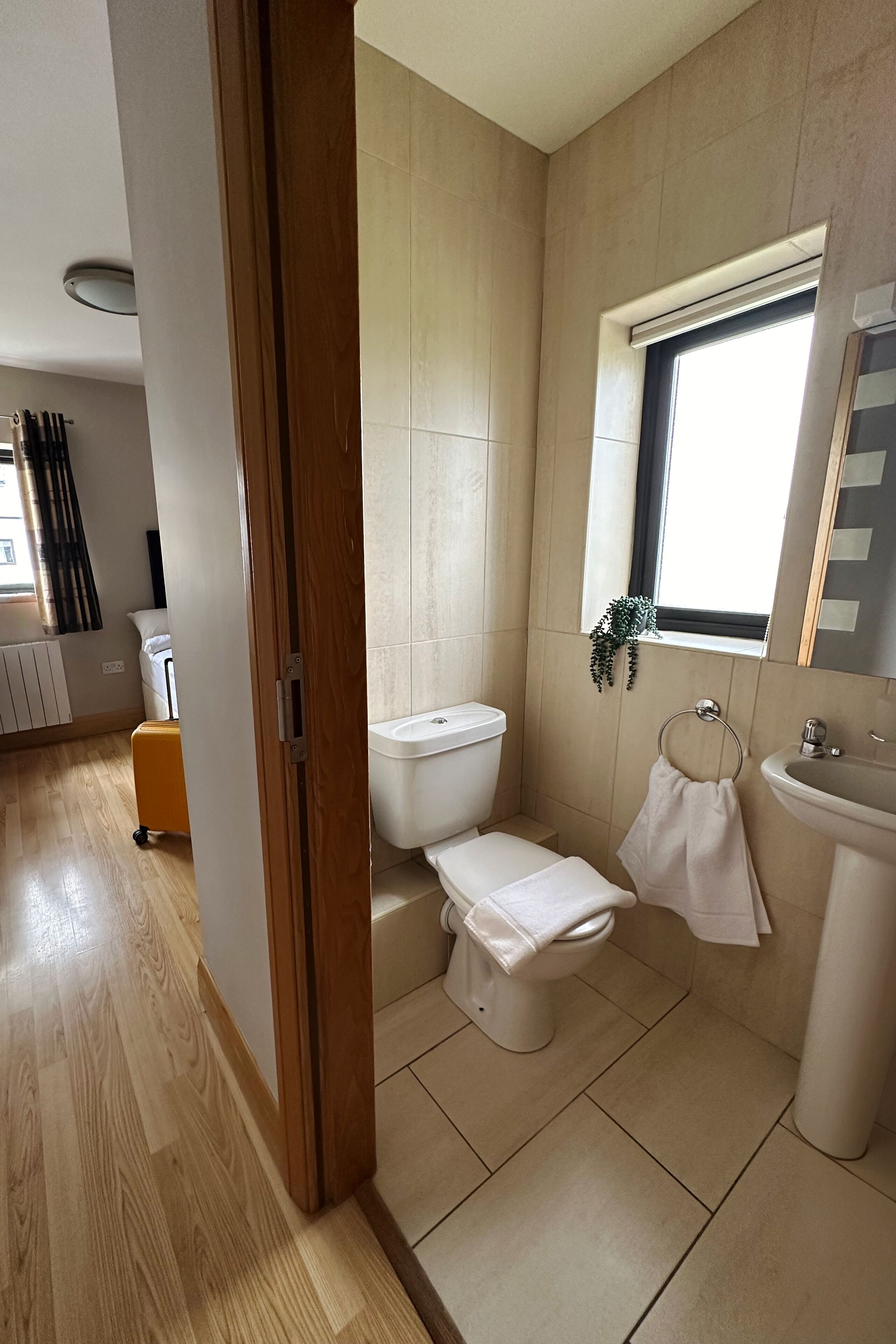Habitación individual, 1 cama individual, baño en la habitación | Baño | Regadera, toallas, papel de baño 