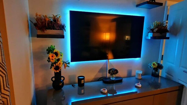 Una sala de estar moderna con una televisión de pantalla plana montada en la pared, una mesa de centro con objetos decorativos y estantes en la pared con plantas.