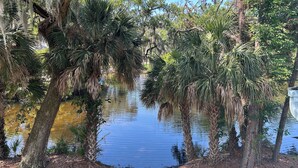 A serene pond surrounded by trees with hanging moss, clear water, and a grassy bank. - Egret’s Pointe Townhouse Sleeps 9 Amenities & POOLS included. GOLF CART (Edisto Island)