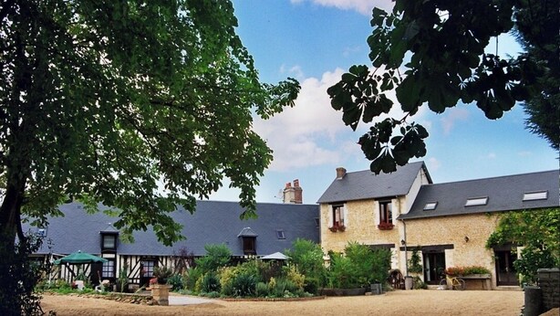 A courtyard with a sandy ground, a stone building with a grey roof, and a tree with green leaves. - La Cour Saint Richer (Basseneville)