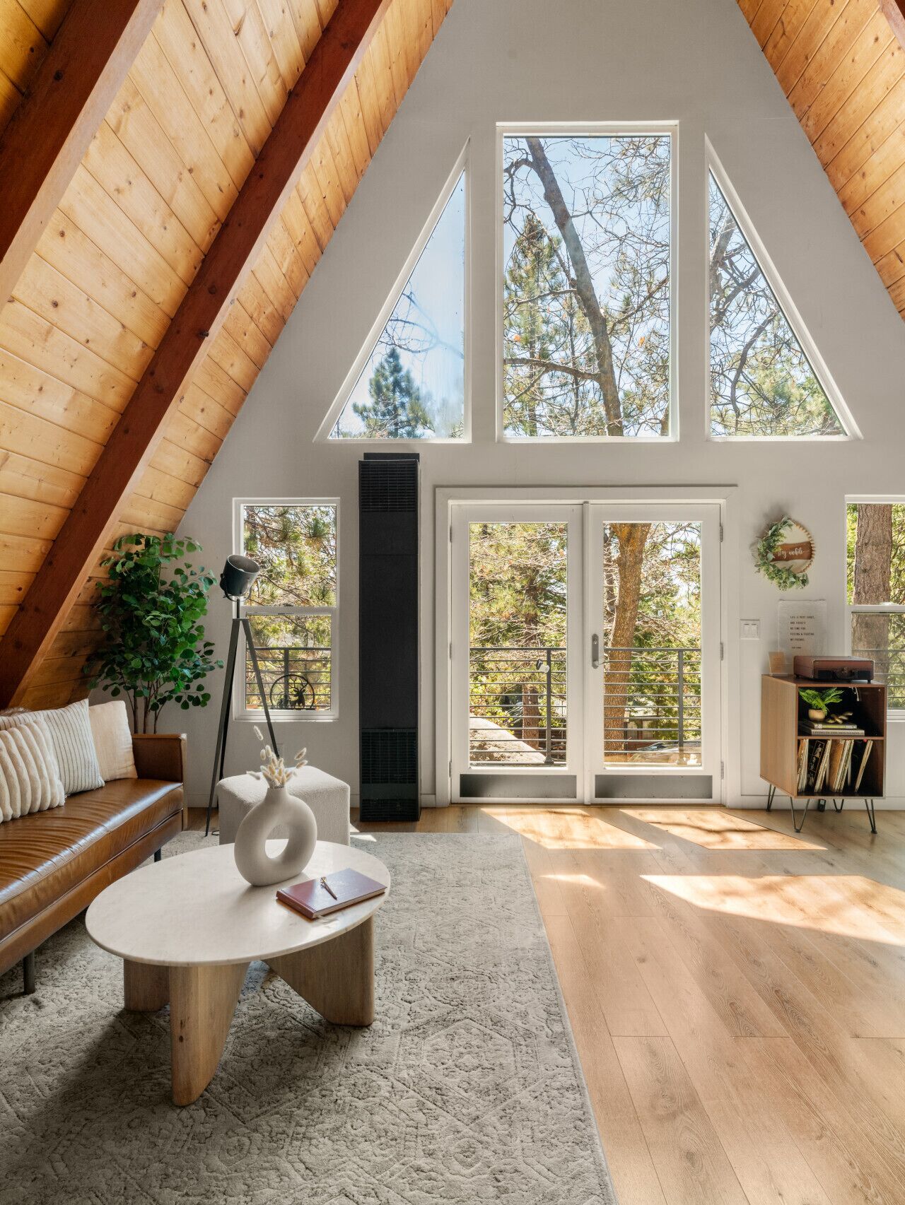 Smart TV, fireplace, books, stereo