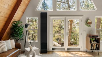 Smart TV, chimenea, libros y estéreo