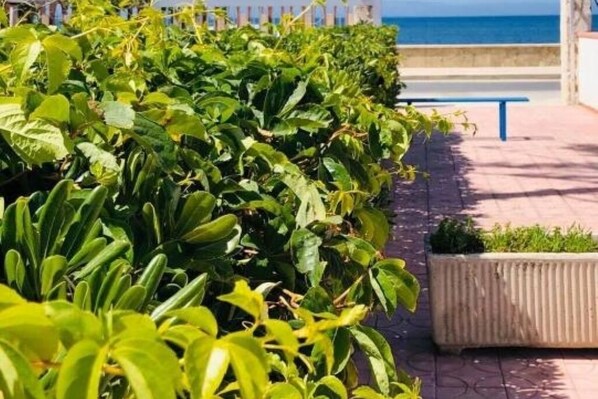 Property grounds - Blu Marzamemi Rooms - Camera Matrimoniale 5 (Marzamemi)