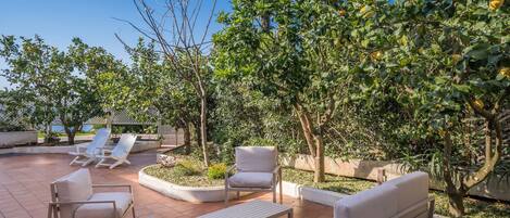 Terraza o patio