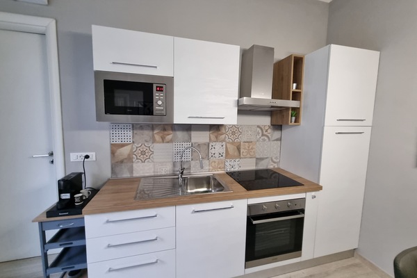 Fridge, microwave, oven, cookware/dishes/utensils