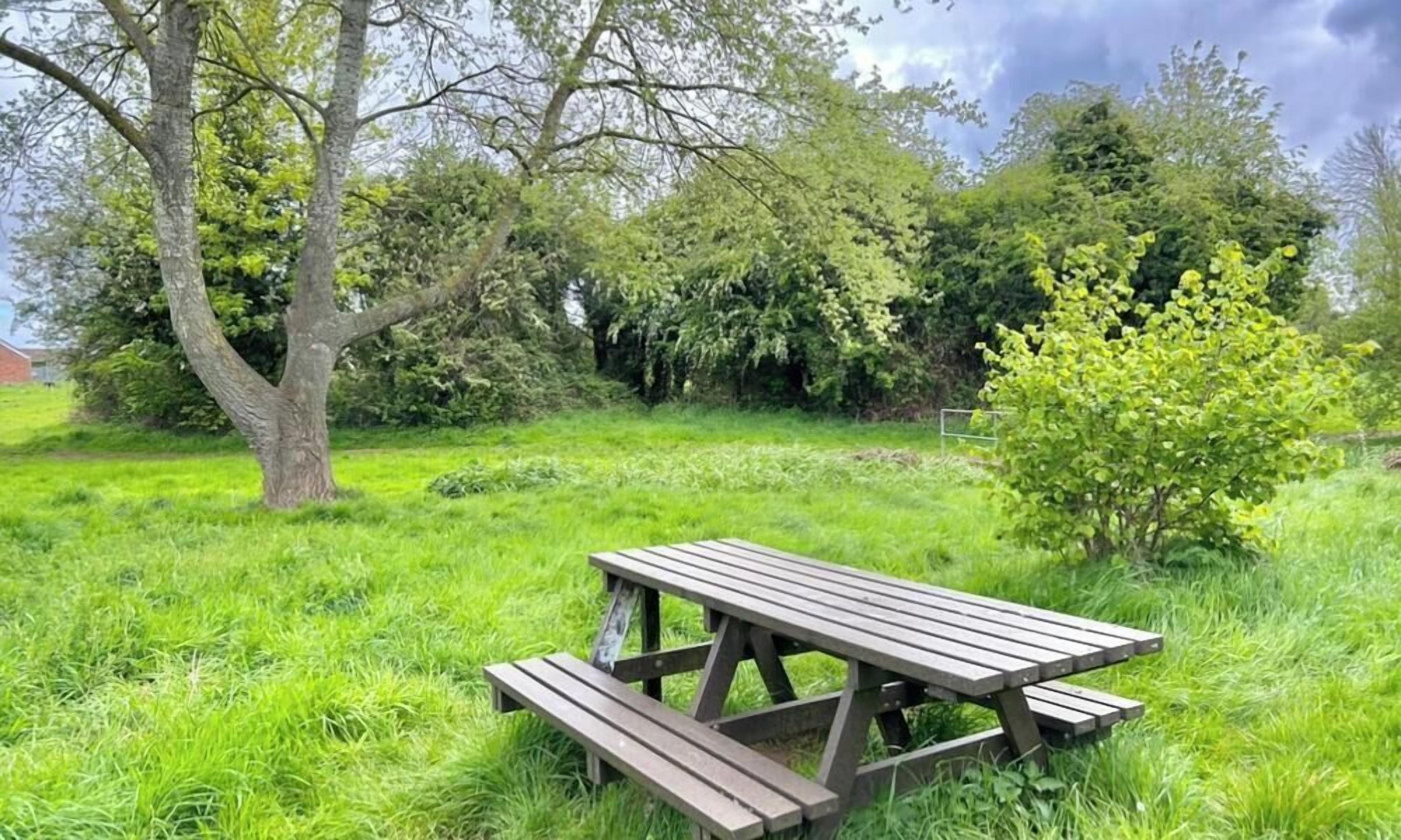 Una mesa de picnic en un área con césped, árboles y arbustos.