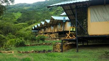 A row of rustic, single-story cabins with metal roofs and beige walls, set in a lush, green landscape with hills in the background.