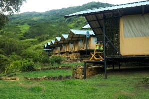 A row of rustic, single-story cabins with metal roofs and beige walls, set in a lush, green landscape with hills in the background.