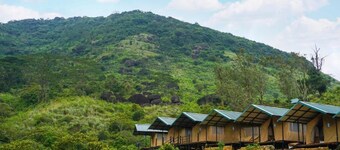 Wild Glamping Knuckles - Thema Collection