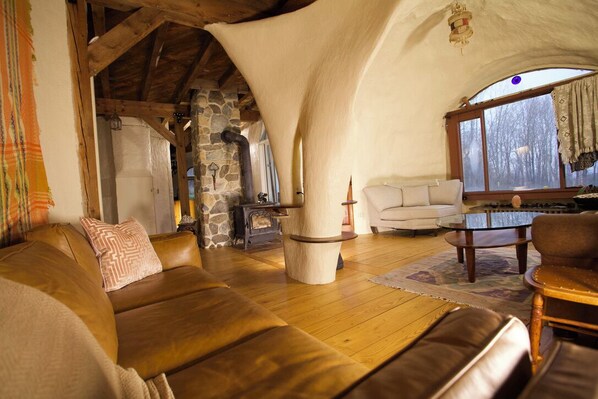 Cheminée, livres, vidéothèque