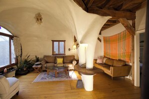 Cheminée, livres, vidéothèque