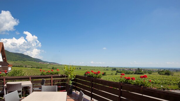 A terrace with outdoor seating, a view of a vineyard, and a distant town. - Weinhotel Kienle (Burrweiler)