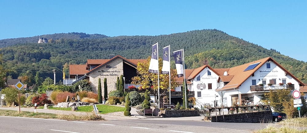 Weingut & Wein Hotel Kienle image