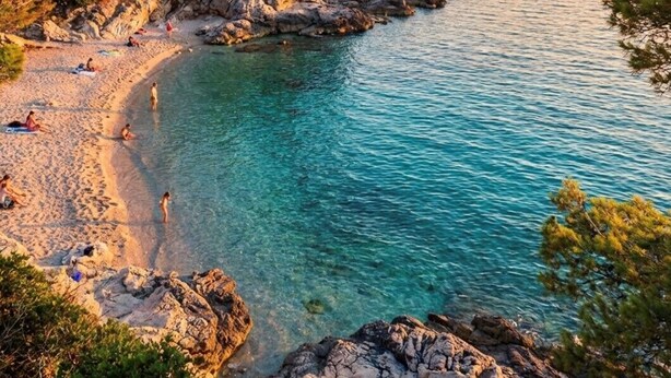 A coastal beach with clear turquoise waters, rocky shoreline, and dense pine trees.