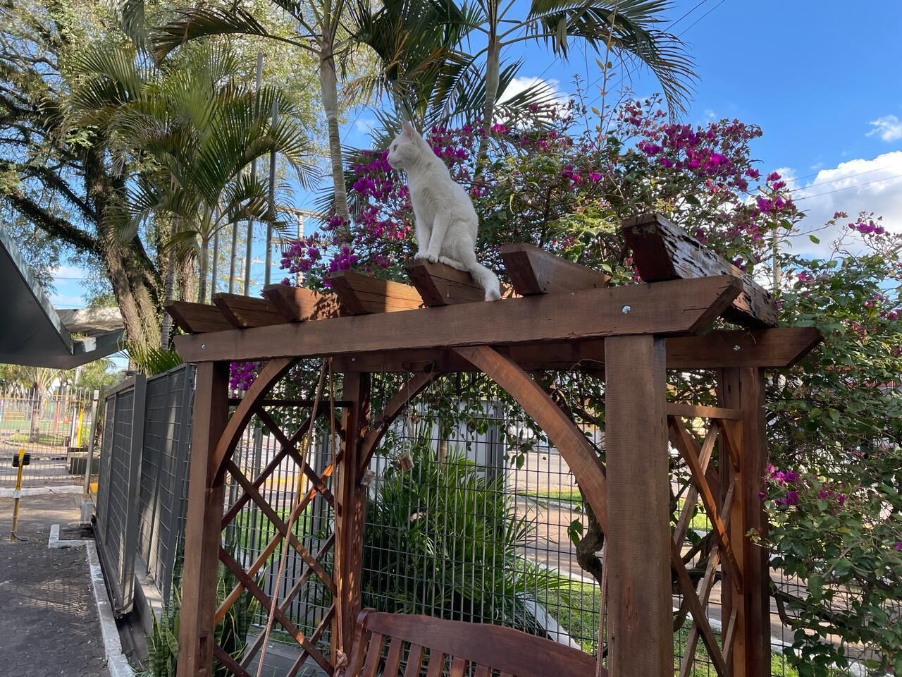 Terraço/pátio