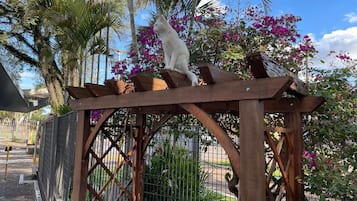 Terraço/pátio