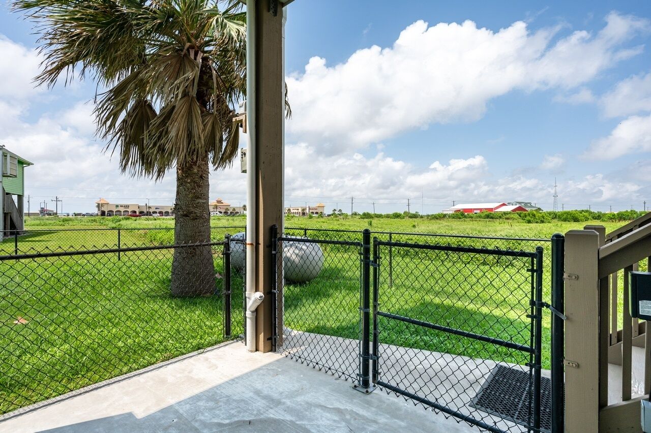 A fenced outdoor area with a palm tree, a concrete pathway, and a view of buildings in the background.