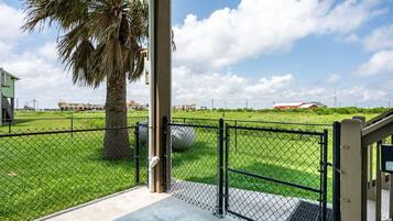 A fenced outdoor area with a palm tree, a concrete pathway, and a view of buildings in the background.