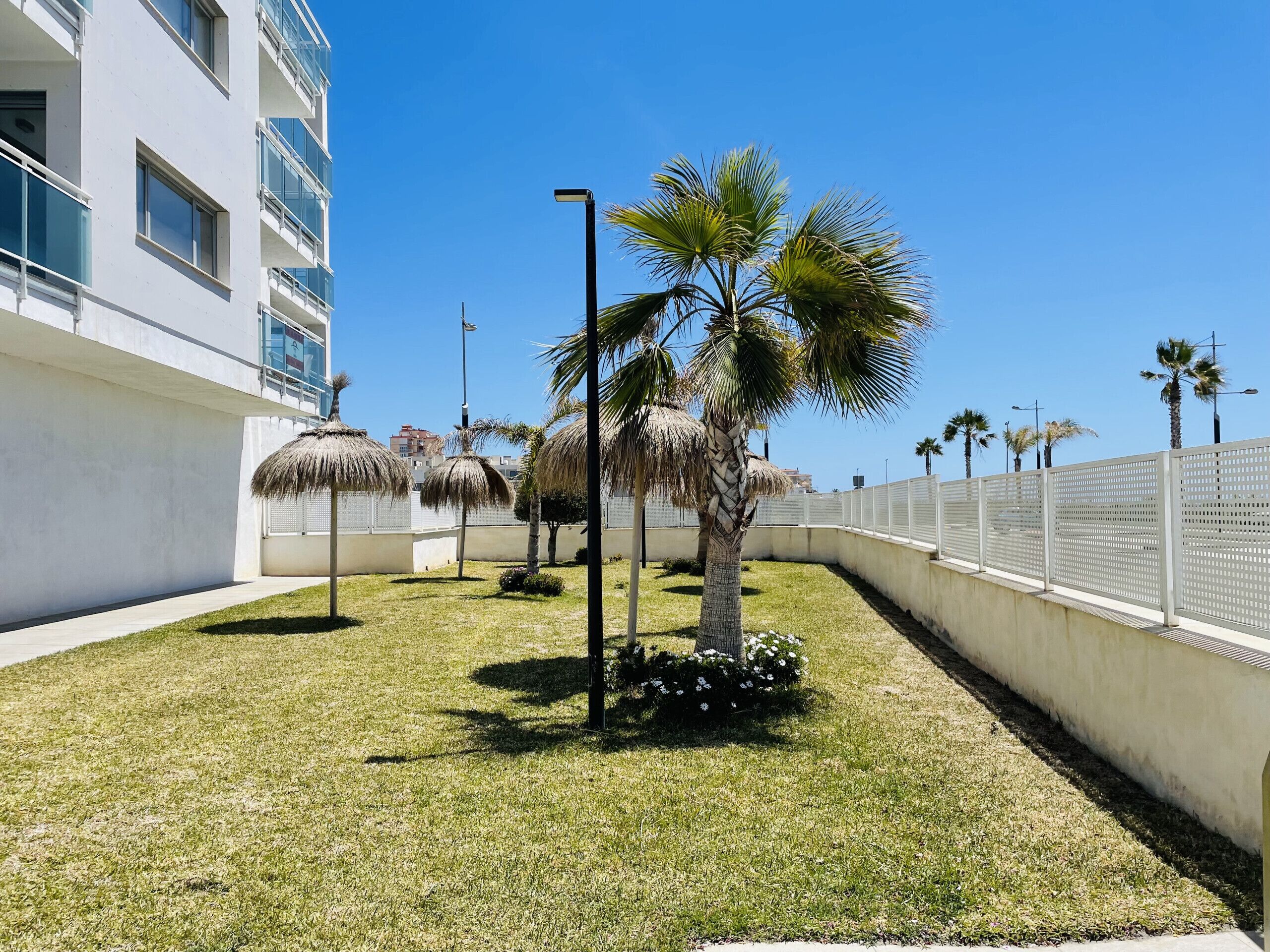 A modern building with balconies, a well-maintained lawn with palm trees, and a white fence.