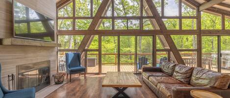 Televisión y chimenea