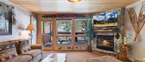 Smart TV, fireplace, DVD player, video library